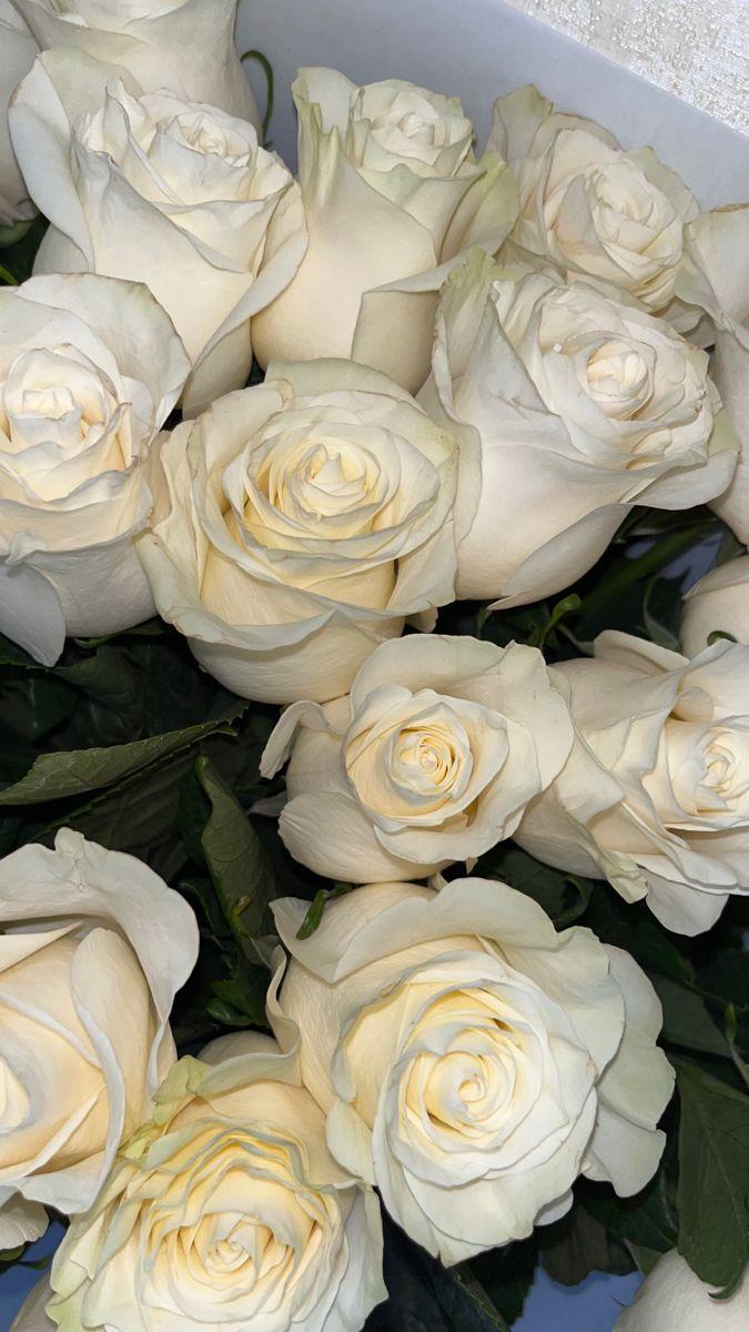 Sunset Serenade Floral Symphony